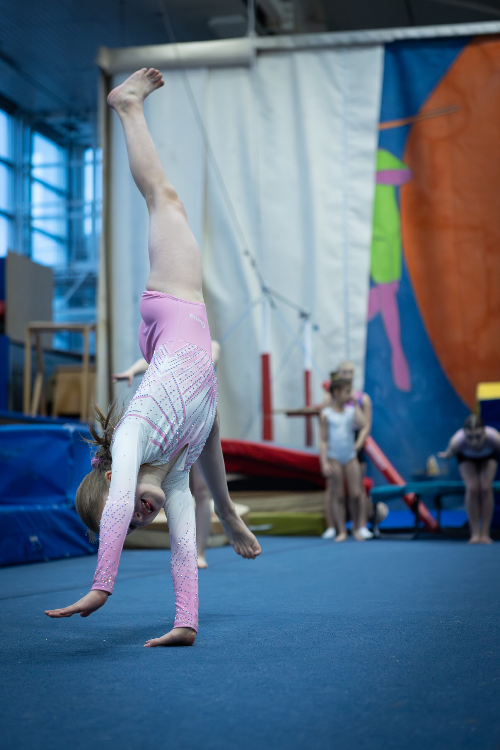 Voimisteluseura-Taipumattomat-ry-telinevoimistelu-teamgym-Rovaniemi-favicon
